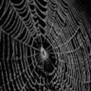 Meet your Posher, Tommy